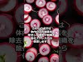 #shorts #大根 #食物繊維 #更年期 #www #雑学 #web3