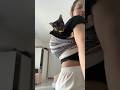When  you have an Asian Mom 🐈‍⬛😁 #cat #youtubeshorts #catlovers #tortoiseshell #thaicat