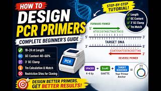 How to Design PCR Primers: Complete Step-by-Step Beginner's Guide