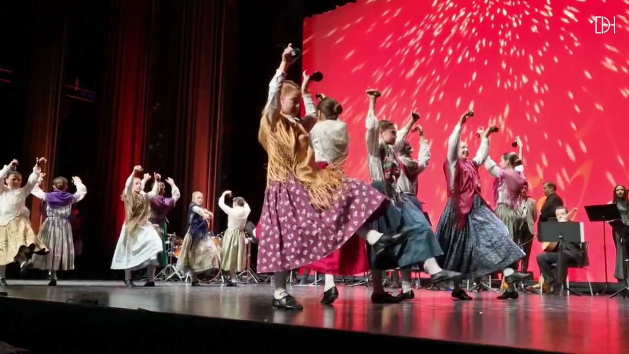 Gran Gala Amigos de Roberto por Aspanoa: ¡Viva la jota!