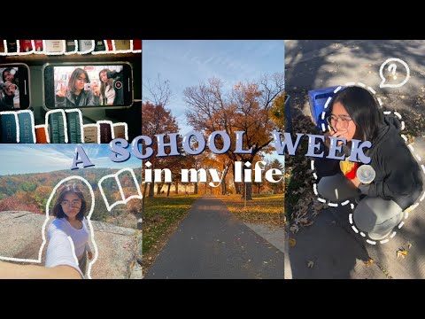 🧸 diaRIEs | a week in my life ☆ school vlog, going to downtown, grwm + more