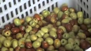 Famous dates pitting,date pit,pitting dates,date pits,dates pitting machine,dates seed removing machine Net Worth