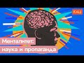 Вернут ли в России потерянный кошелёк? Эксперимент / @Максим Кац