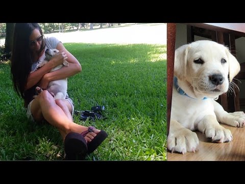 Charley Vlogs First trip to the park
