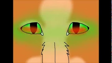 Warriors Bleeding Out MAP Part 20