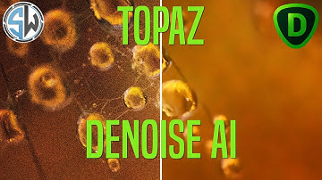 Remove Noise and Grain from your Photos with Topaz DeNoise AI