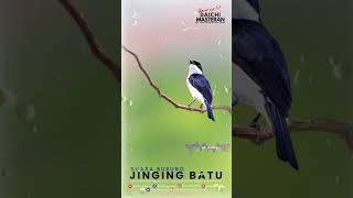 SUARA JINGING BATU