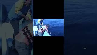 Whale Rescued by Fisher Man  #thedodo #whale #shortsfeed #shortsviral #shortsyoutube