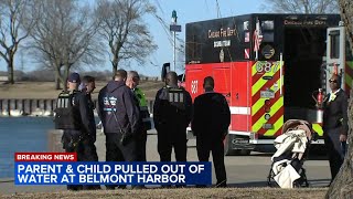 Parent, child pulled from lake at Belmont Harbor by bystander: CFD