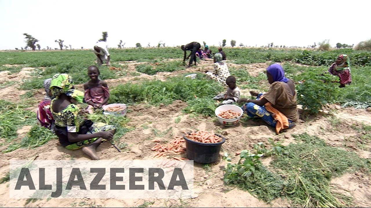 عنف جماعة بوكو حرام يضرب المزارعين النيجيريين