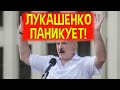 ЖЕСТЬ! У Лукашенко истерика!