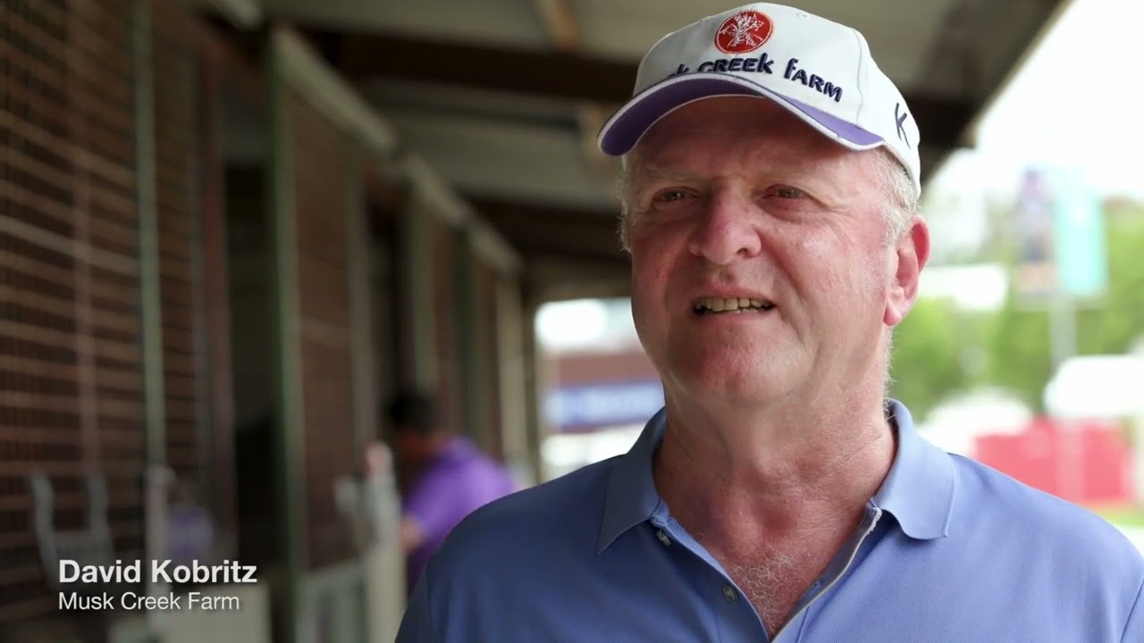 We gave him 60 pieces of content from one shoot! Video Production Melbourne - ONIX Productions