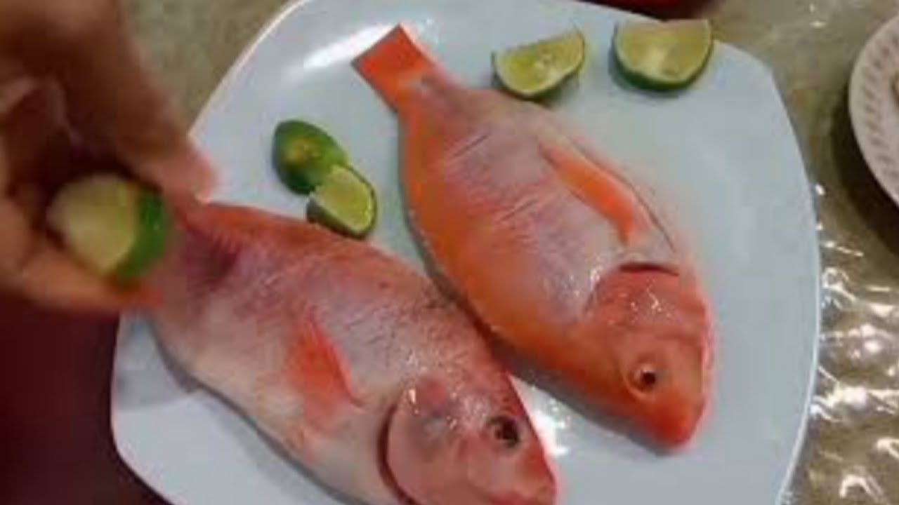 Hasil mancing dapat ikan NILA sebaiknya dimasak kayak gini.. dijamin