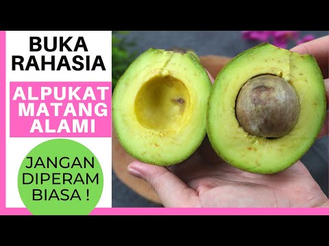 Video: 5 Cara Memasak Bit