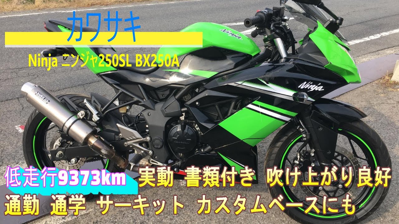 カワサキ Ninja ニンジャ250SL BX250A 低走行9373km 実動 書類付き 吹け上がり良好 通勤 通学 サーキット カスタムベースにも カワサキ Ninja ニンジャ250SL BX250A 低走行9373km 実動 書類付き