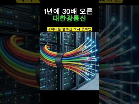 30배 오른 대한광통신