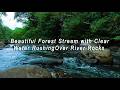 MALUS17 Beautiful Forest Stream with Clear Water Rushing Over River Rocks