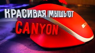 Обзор мыши CANYON CNS-CMSW21R