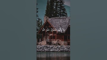 سورة النساء || ماهر المعيقلي تلاوة خاشعة ارح سمعك