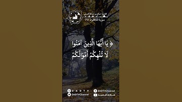 ما تيسر من سورة المنافقون ( ٩ ) - تلاوة خاشعة
