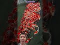 Pengen Renagn bareng Ikan Koi ⁉️sc: @ikanhias9246