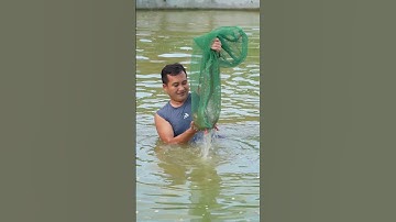 Món ăn đặc sản của nguời miền núi siêu ngon  #food #amthuctaybac #amthuc #huongviquehuong