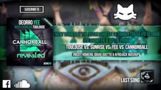 Toulouse vs. Sunrise vs. Yee vs. Cannonball (Nicky RomeroMashup) (Tomorrowland 2013)