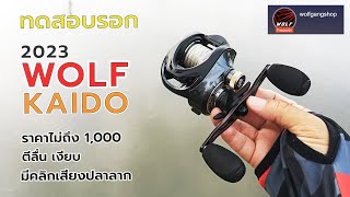 ทดสอบรอก WOLF KAIDO2023 #fishing #fishingvideo #ตกปลา #รอกตกปลา #wolfkaido #รอกwolf #ตีปลาช่อน