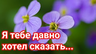 ❤️❤️❤️ПОЖЕЛАНИЕ НА ВЕСЬ ДЕНЬ❤️❤️❤️ С Добрым Утром Хорошего Дня. Доброе Утро! СТИХ