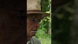 Un passage caché sous le canal de la Sauldre