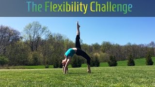 100 Day Challenge 3 | Contortion Flexibility | Weeks 1-2