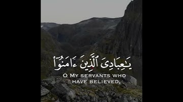 تلاوة هادئة وقصيرة   || القارئ : عبد الرحمن مسعد || سورة : العنكبوت  🌷💚🌷