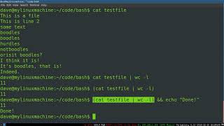 Celebrity Bash Programming 2    Bash Basics Wealth