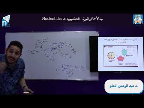 د.عبدالرحمن الحلو-بيولوجيا-بنية الأحماض النووية  النكليوتيدات