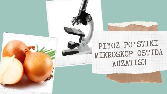 Rus kino aktrisalari sikish Barcha jinsiy ayol video onlayn