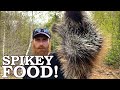 How to Eat PORCUPINE (INSANE!) in SURVIVAL