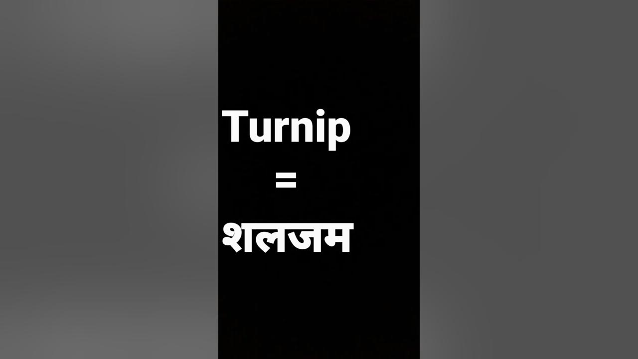 turnip-meaning-in-hindi-and-its-parts-of-speech-and-its-pronunciation