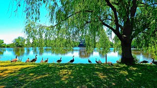 Parc des Rapides - Montreal's LaSalle borough, Quebec, Canada - City Walking Tour