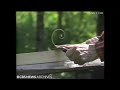 He’s made canoes by hand for 60 years (1982)