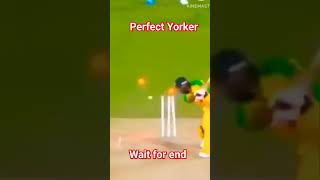 how to perfect Yorker bowling tips #bowling tips #short #cricket #cricketlovers #trending #toutoril