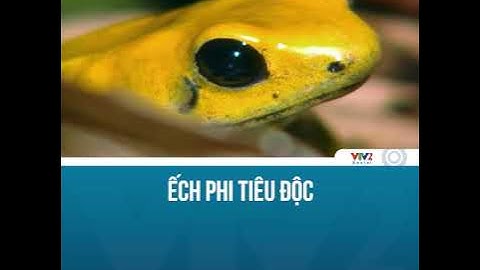 Ếch phi tiêu độc - (Thuyết Minh ) VTV 2 Thế Giới Động Vật Hoang Dã
