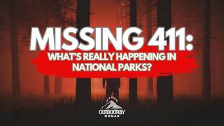 Missing 411: Pattern or Coincidence? A Closer Look at the Cases