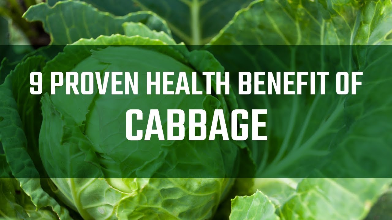 9 Proven Health Benefit of Cabbage SeekHealth YouTube