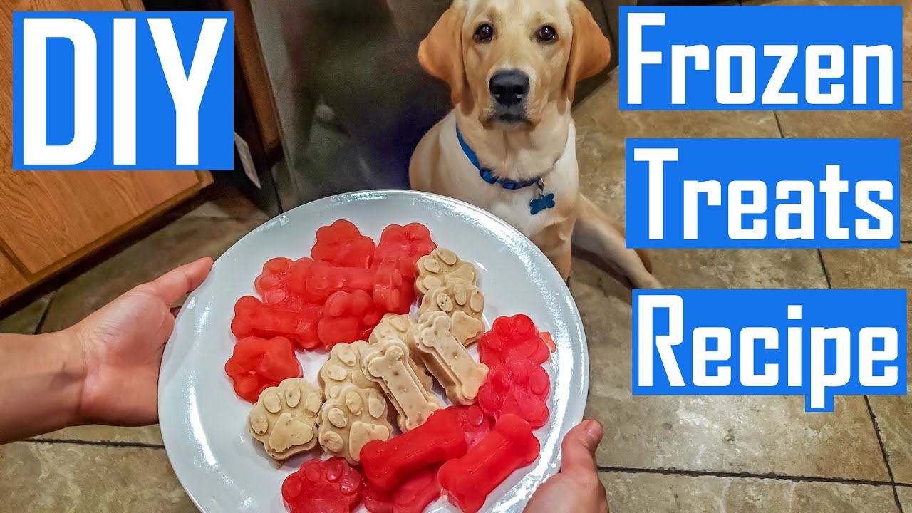 Beat the summer heat with these homemade frozen treats for your furry  friend! 🐾🍦 Try out this easy Dog Popsicle recipe and watch your…