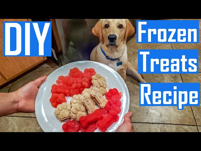 Beat the summer heat with these homemade frozen treats for your furry  friend! 🐾🍦 Try out this easy Dog Popsicle recipe and watch your…