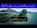 Mysterious underwater creatures caught on camera  purisrar dunya  urdu documentaries