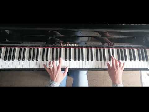 L'ombre de Chopin (Frédéric Volanti)