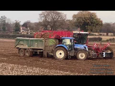 Potatoe Harvesting At A Farm In Tunstead