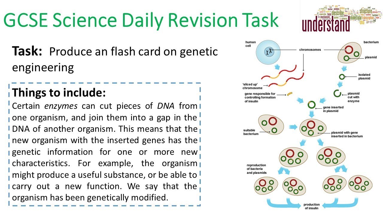 GCSE Science Daily Revision Task 136 - YouTube