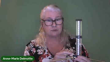 De Lecher-antenne - Anne-Marie Delmotte